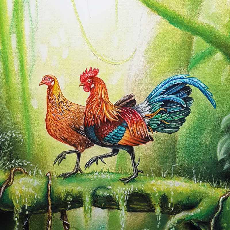 Originele tekening ‘kippen in hun natuurlijke habitat’ inclusief lijst