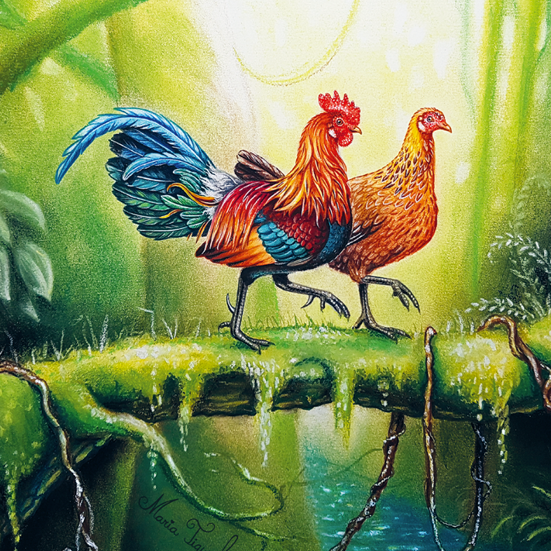 Set of 10 small greeting cards with jungle fowl