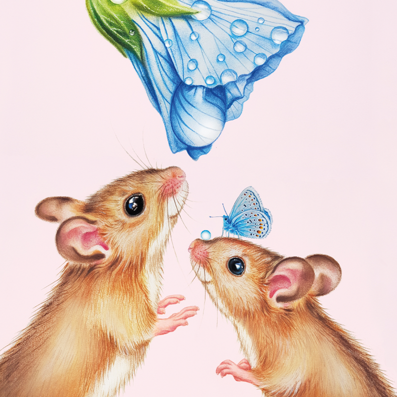 Set of 10 small greeting cards with mice